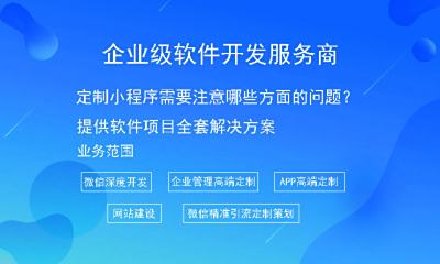 定制小程序需要注意哪些方面的问题？