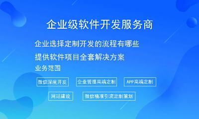企业选择定制开发的流程有哪些