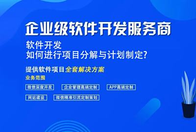 软件开发,如何进行项目分解与计划制定?