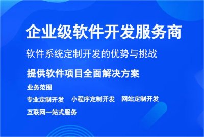 软件系统定制开发的优势与挑战