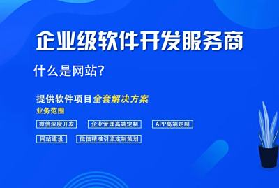 什么是网站
